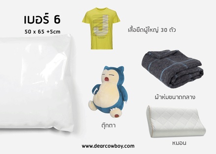 ซองไปรษณีย์พลาสติก 100ซอง (50x65+5cm) เบอร์ 6 | GRADE A [ขนส่งบริษัท]