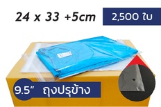 ถุงแก้ว ปรุข้าง มีรู 9.5x13+2 นิ้ว (ยกลัง 2,500 ซอง) พลาสติกใส มีแถบกาว OPP