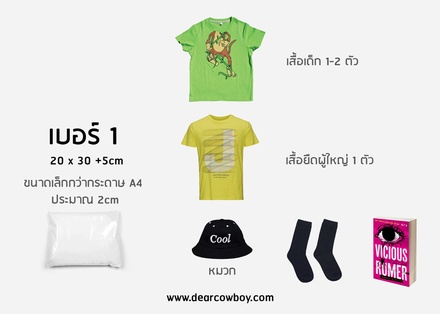 ซองไปรษณีย์พลาสติก 100ซอง (20x30+5cm)  เบอร์ 1【ราคาประหยัด】